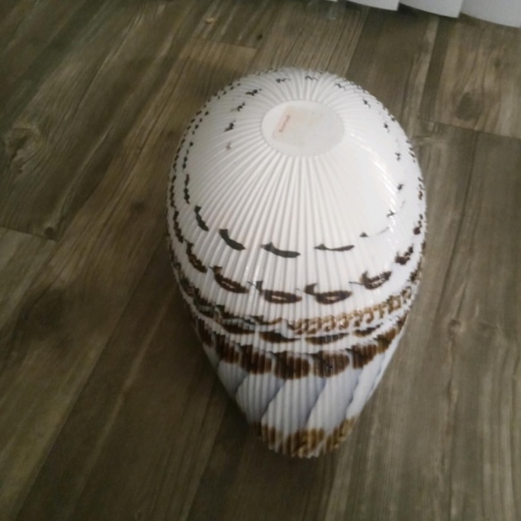 Glass Shell - Picture 2 of 2